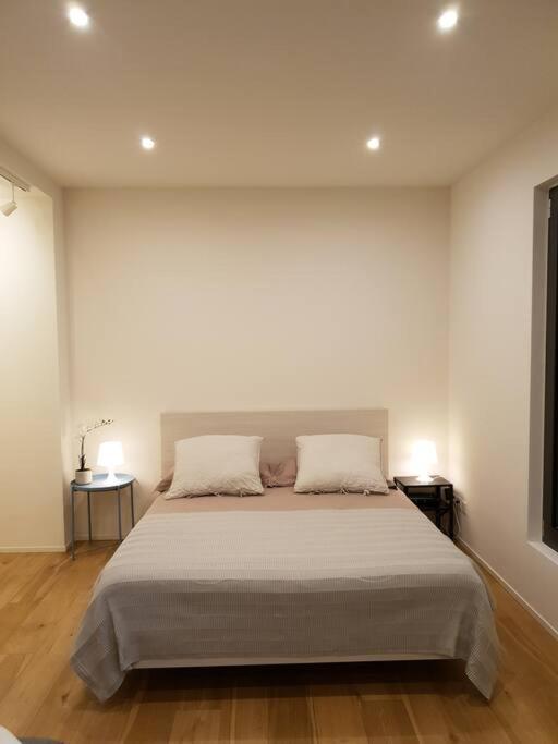 Experience The Loft! Loft 18, Downtown, Near The Lake Free Parking Available 盧加諾 外观 照片